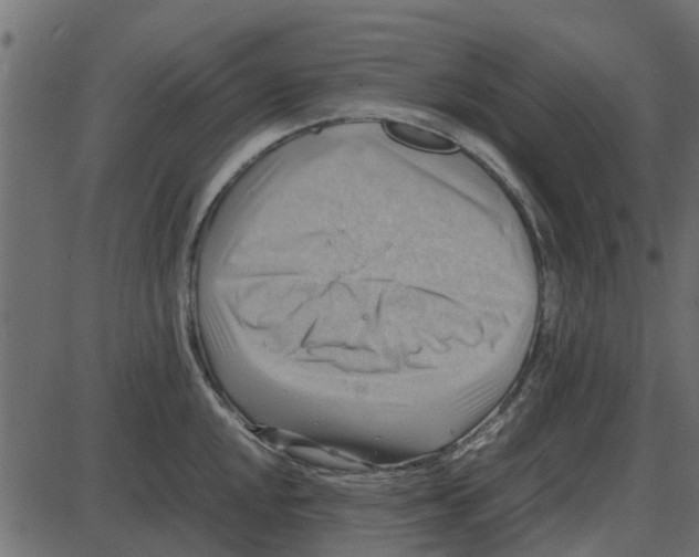 X0000087401048200705181327