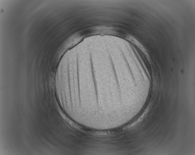 X0000087401049200705181327