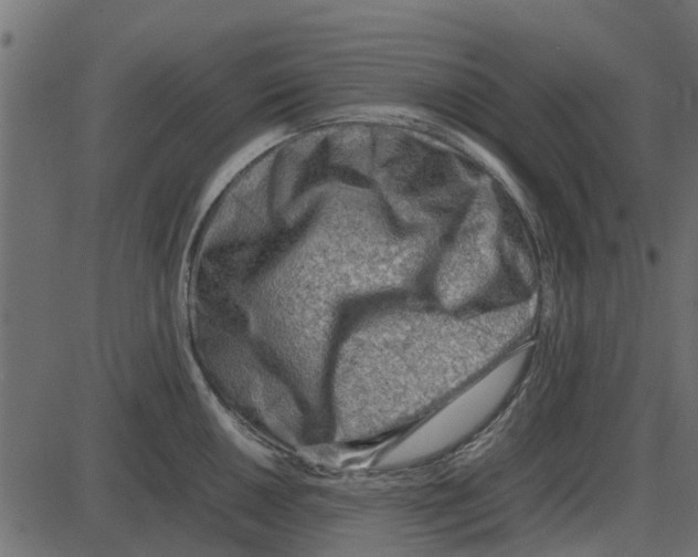 X0000087401050200705181327