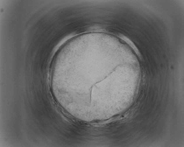 X0000087401051200705181327