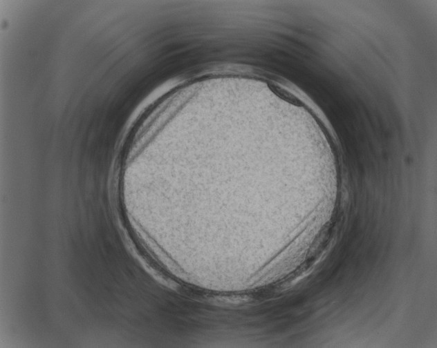 X0000087401053200705181327