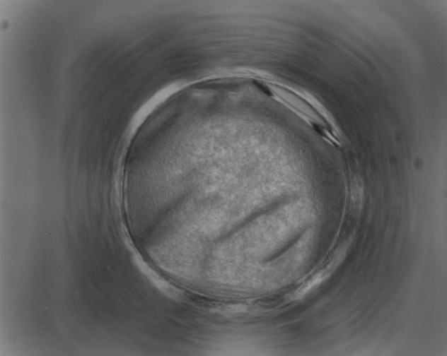 X0000087401054200705181327