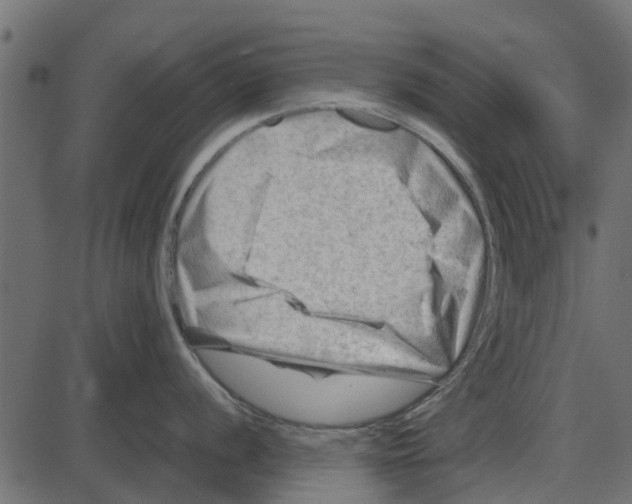 X0000087401056200705181327