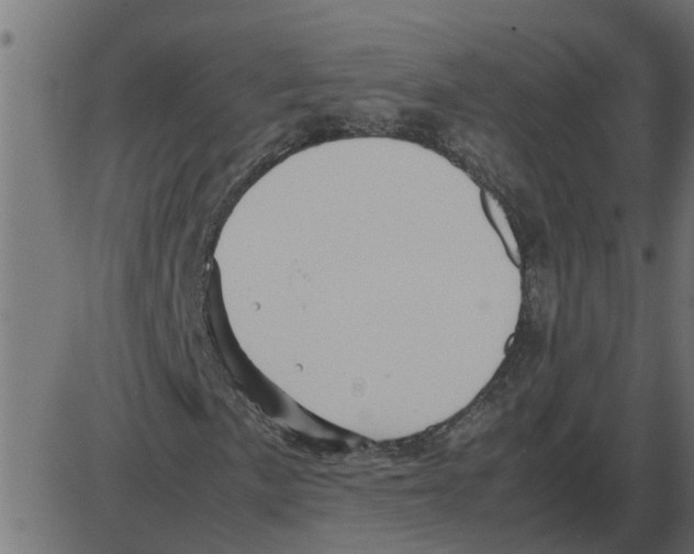 X0000087401057200705181327