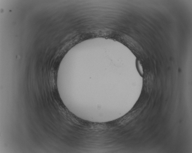 X0000087401058200705181327