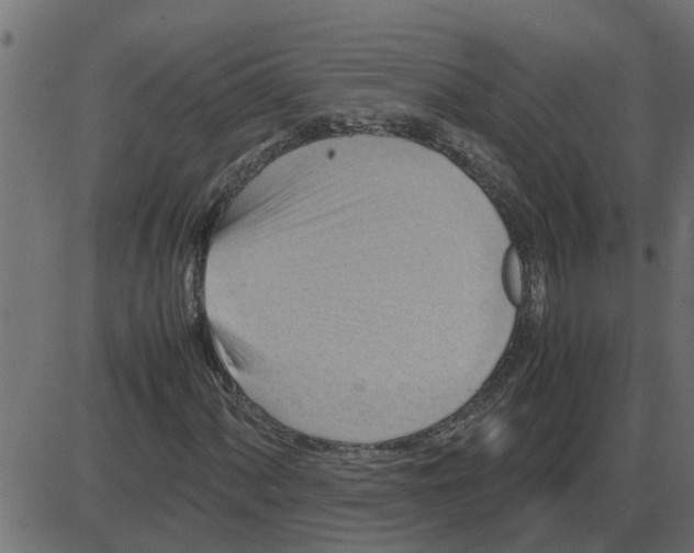 X0000087401060200705181327