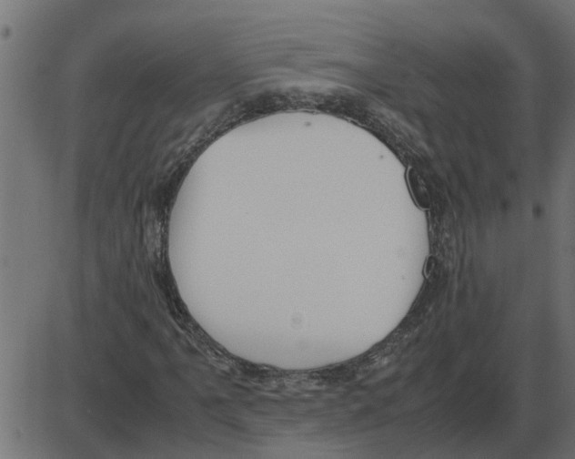 X0000087401061200705181327