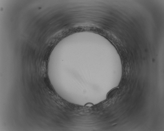 X0000087401062200705181327