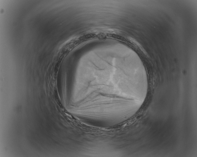 X0000087401063200705181327