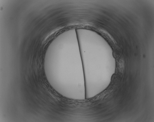 X0000087401064200705181327