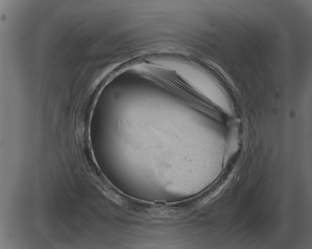 X0000087401065200705181327