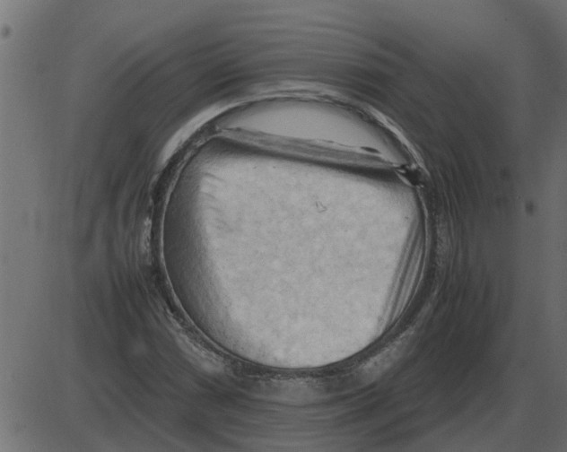 X0000087401066200705181327