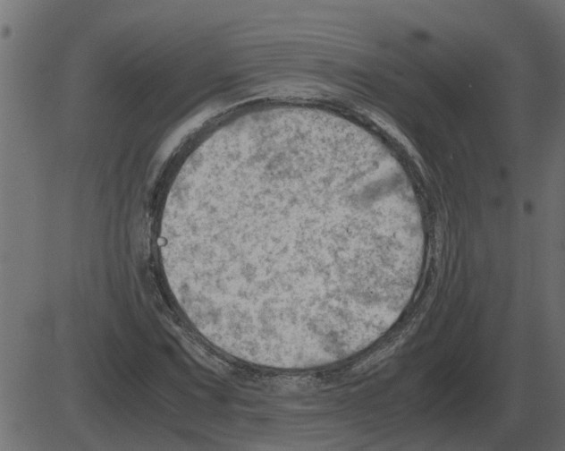 X0000087401067200705181327