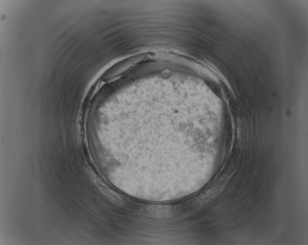 X0000087401068200705181326