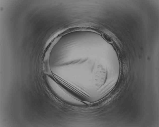 X0000087401069200705181326