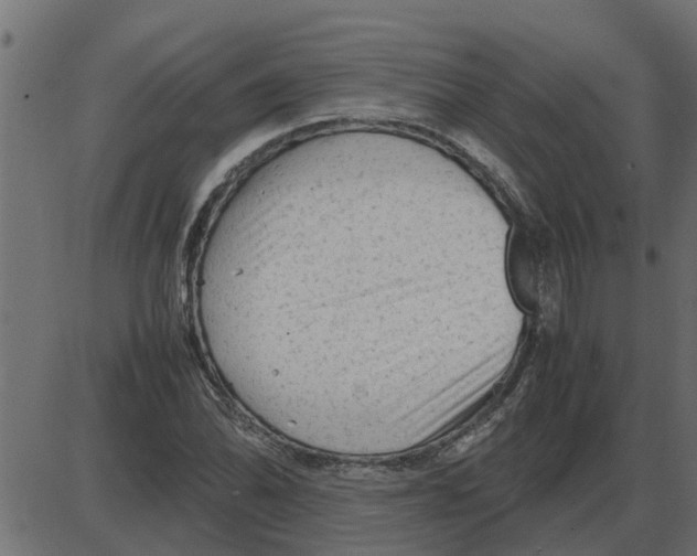 X0000087401070200705181326