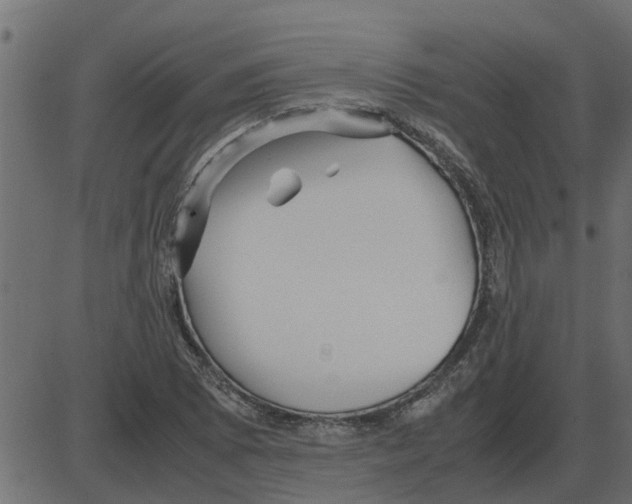 X0000087401073200705181326