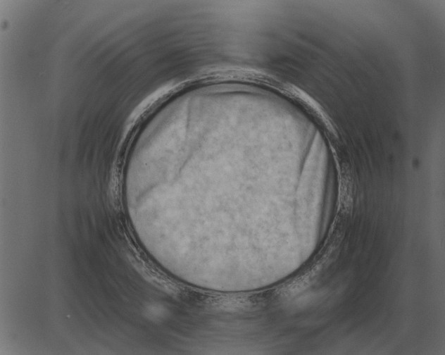 X0000087401074200705181326