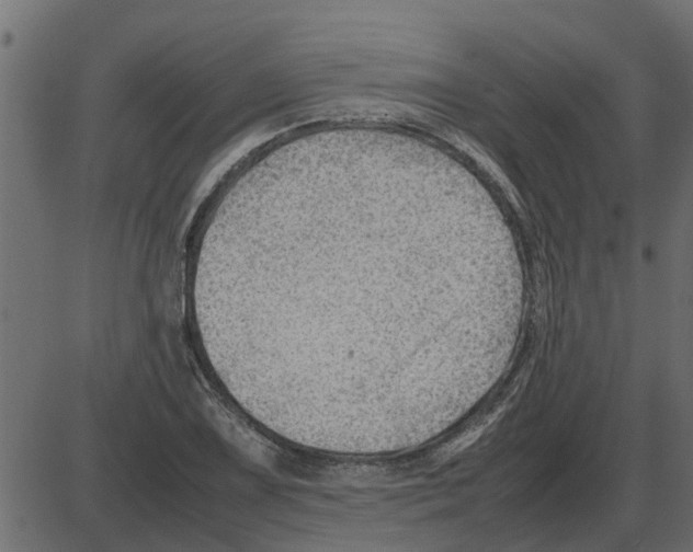 X0000087401075200705181326