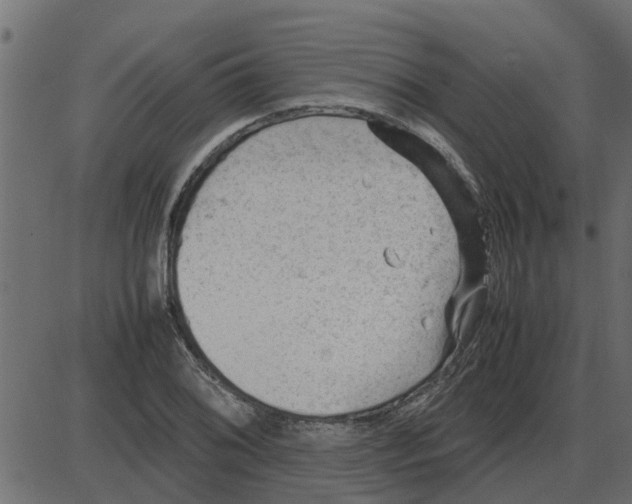 X0000087401076200705181326