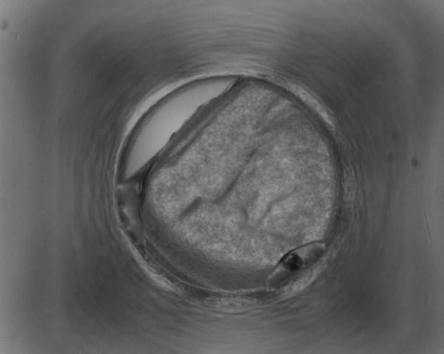 X0000087401077200705181326