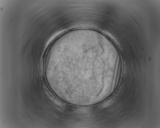 X0000087401078200705181326