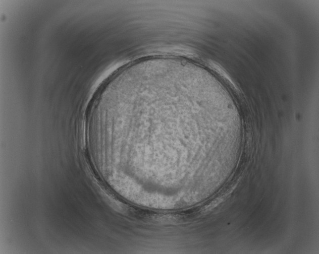 X0000087401079200705181326