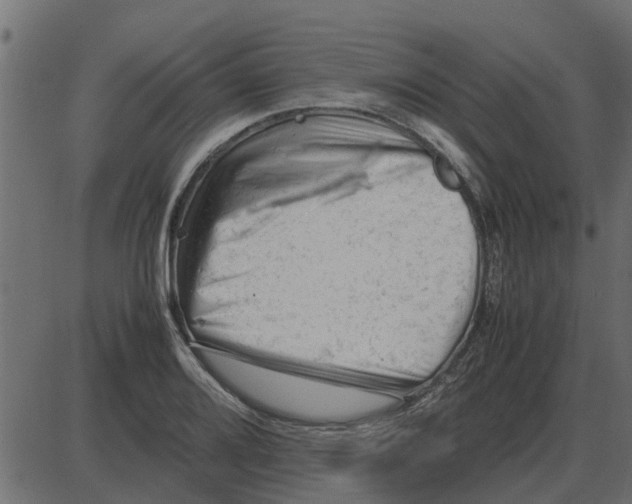 X0000087401080200705181326