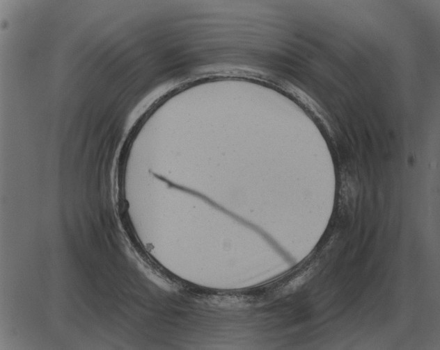 X0000087401082200705181326