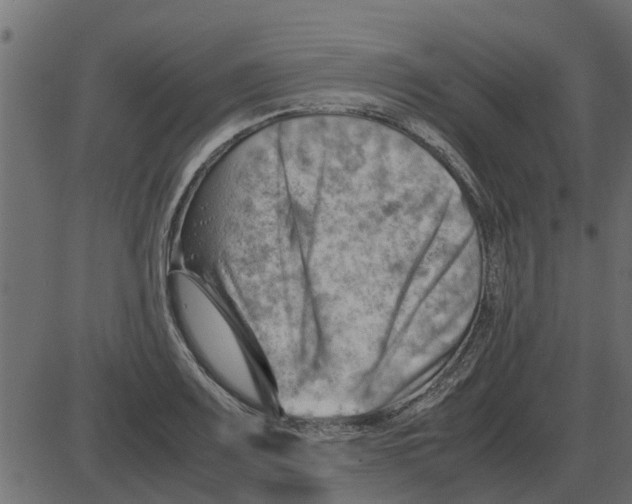 X0000087401083200705181326