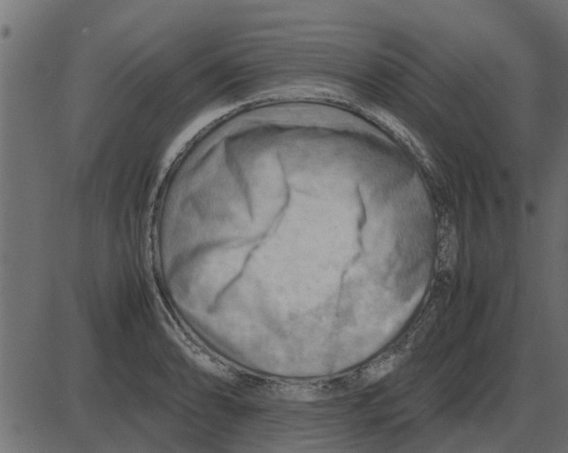 X0000087401086200705181326