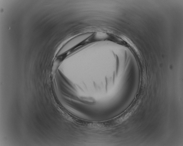 X0000087401089200705181326