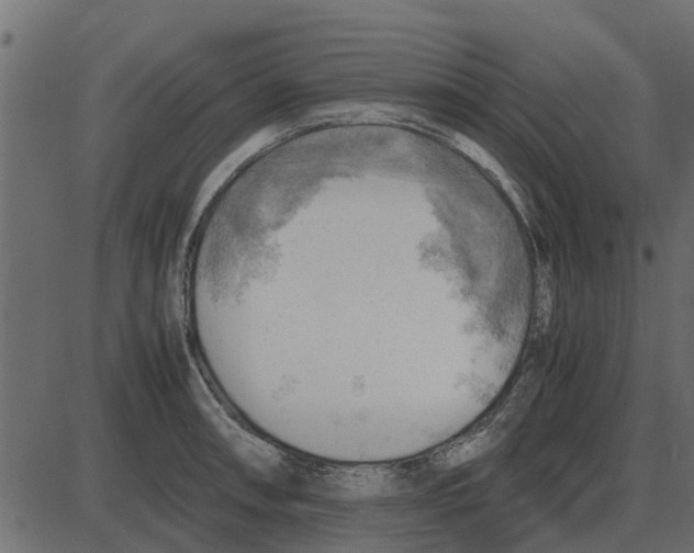 X0000087401090200705181326