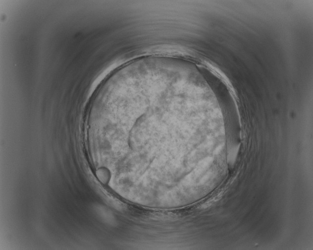 X0000087401091200705181326