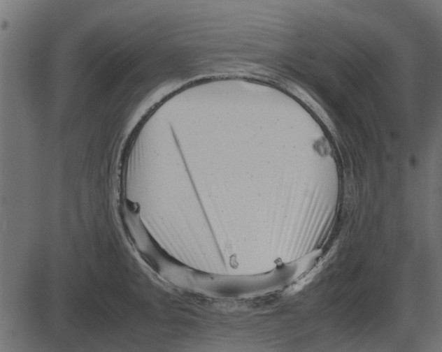 X0000087401093200705181326