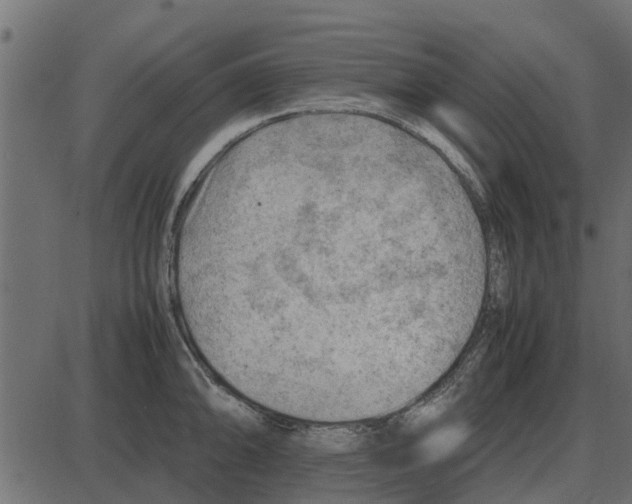 X0000087401094200705181326