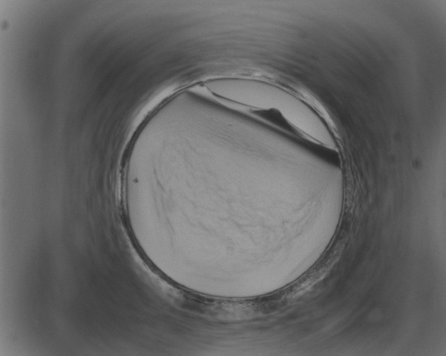 X0000087401095200705181326