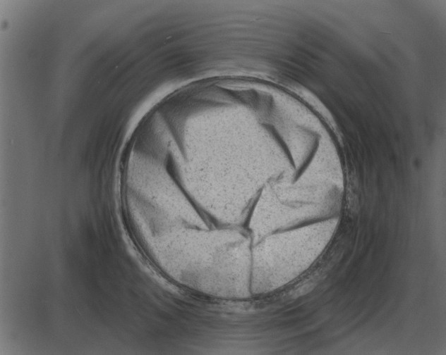 X0000087401096200705181326