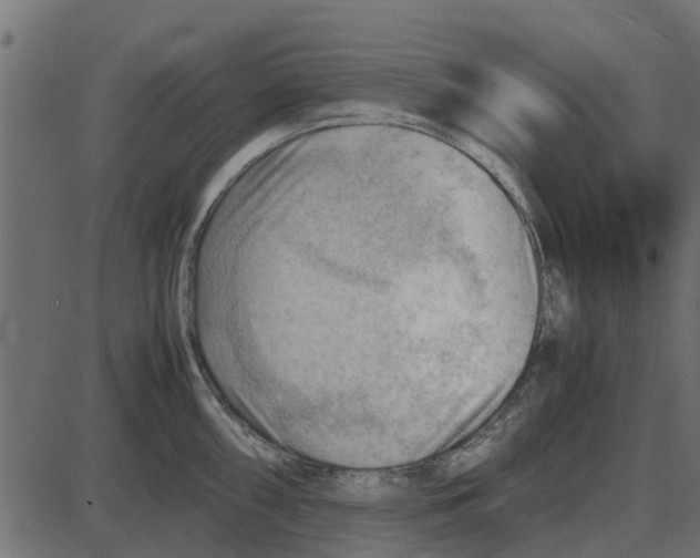 X0000087401098200705181326