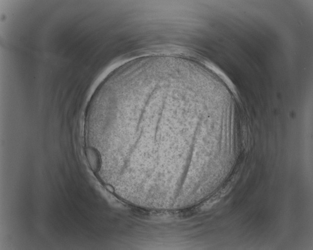 X0000087401099200705181326