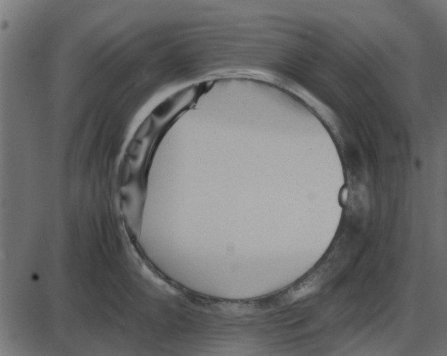 X0000087401102200705181326