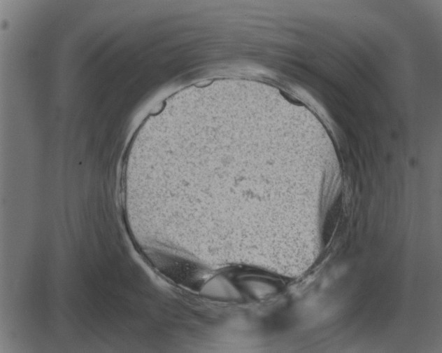 X0000087401103200705181326