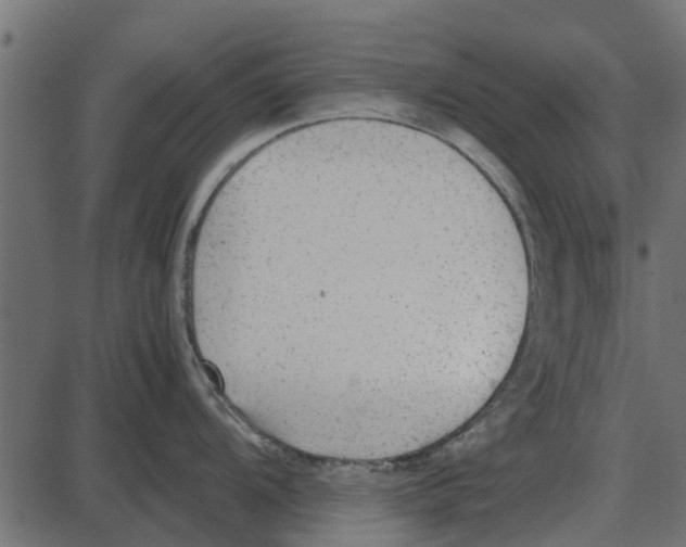 X0000087401104200705181326