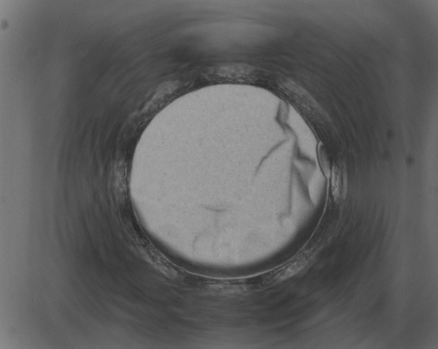 X0000087401107200705181325