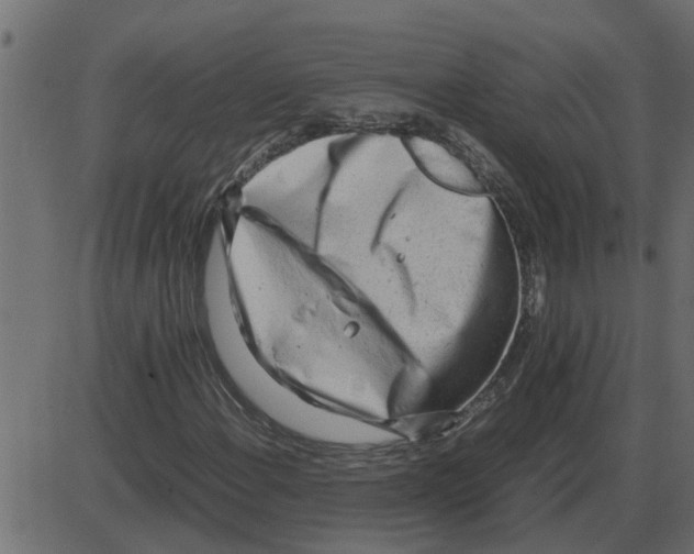 X0000087401108200705181325