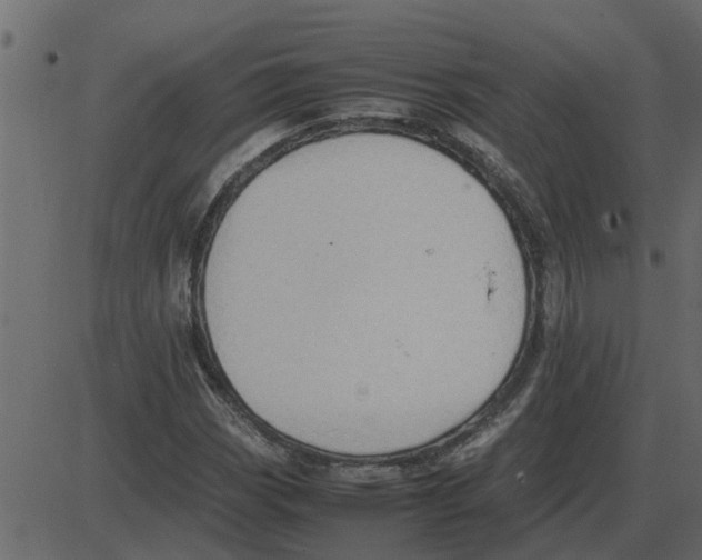 X0000087401113200705181325