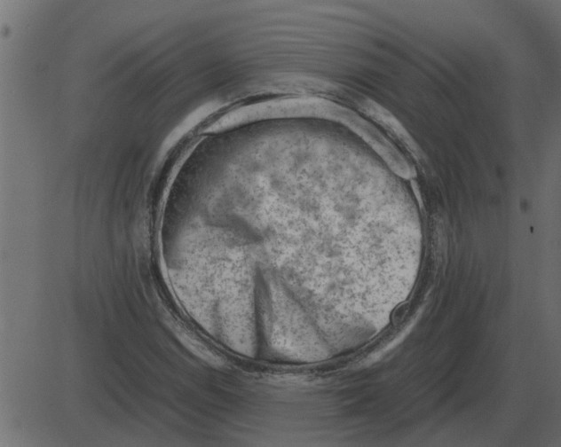 X0000087401114200705181325