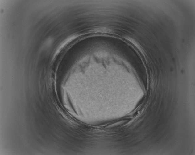 X0000087401115200705181325