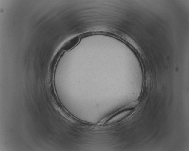 X0000087401116200705181325