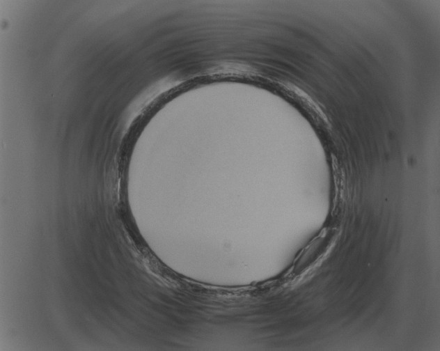 X0000087401117200705181325